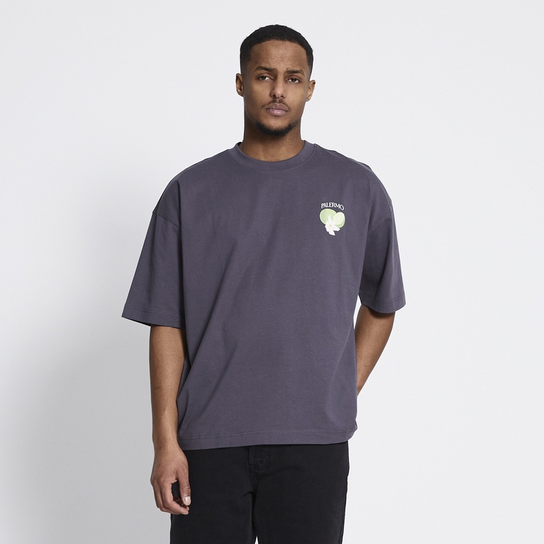 Printed tee "Abbot" Grey
